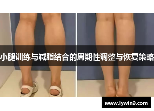 小腿训练与减脂结合的周期性调整与恢复策略