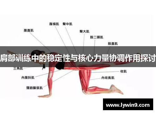 肩部训练中的稳定性与核心力量协调作用探讨